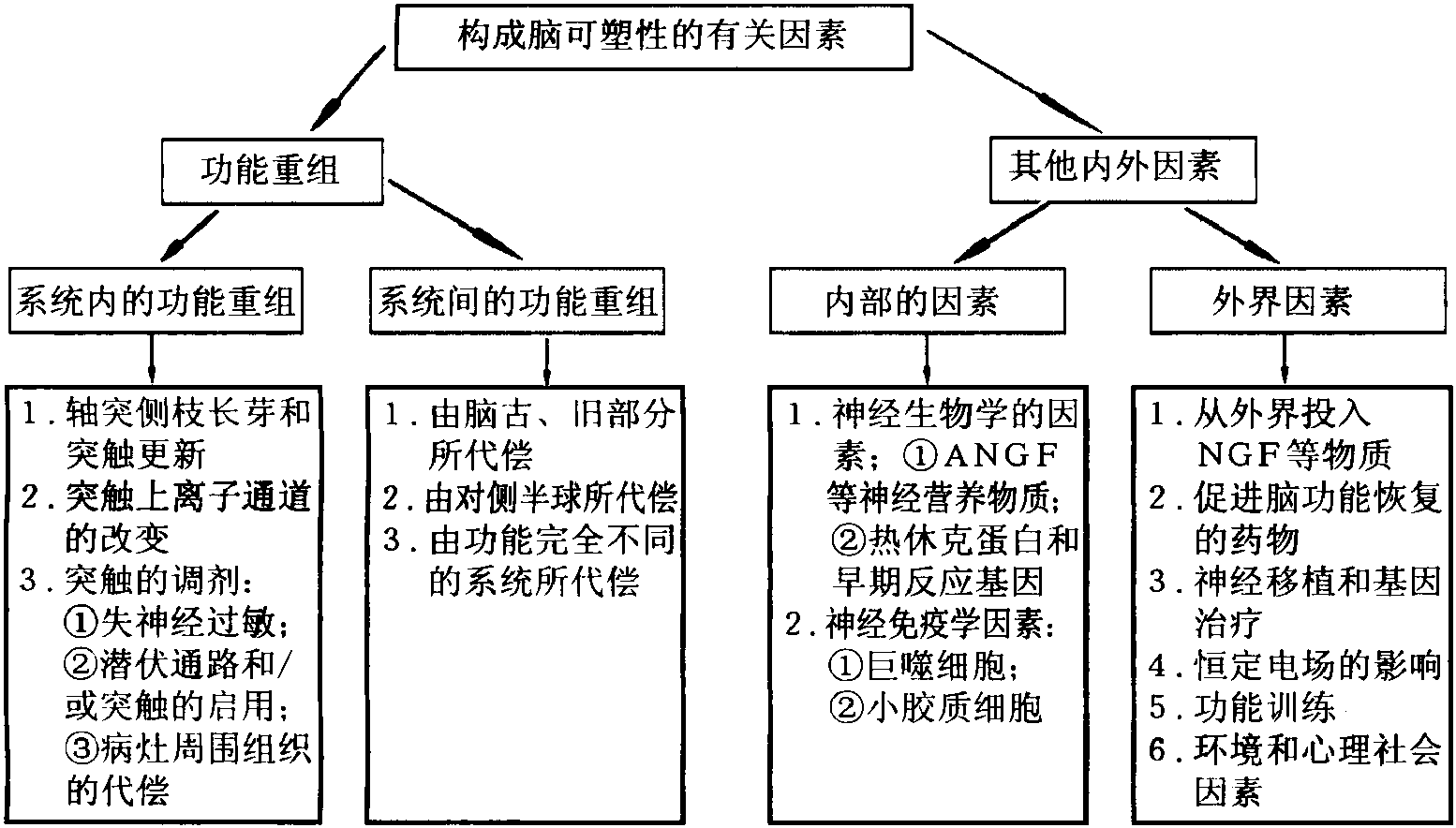 第八節(jié) 中樞神經(jīng)損傷后功能恢復(fù)